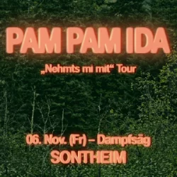 261106-Dampfsäg-Sontheim